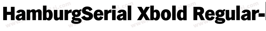 HamburgSerial Xbold Regular字体转换
